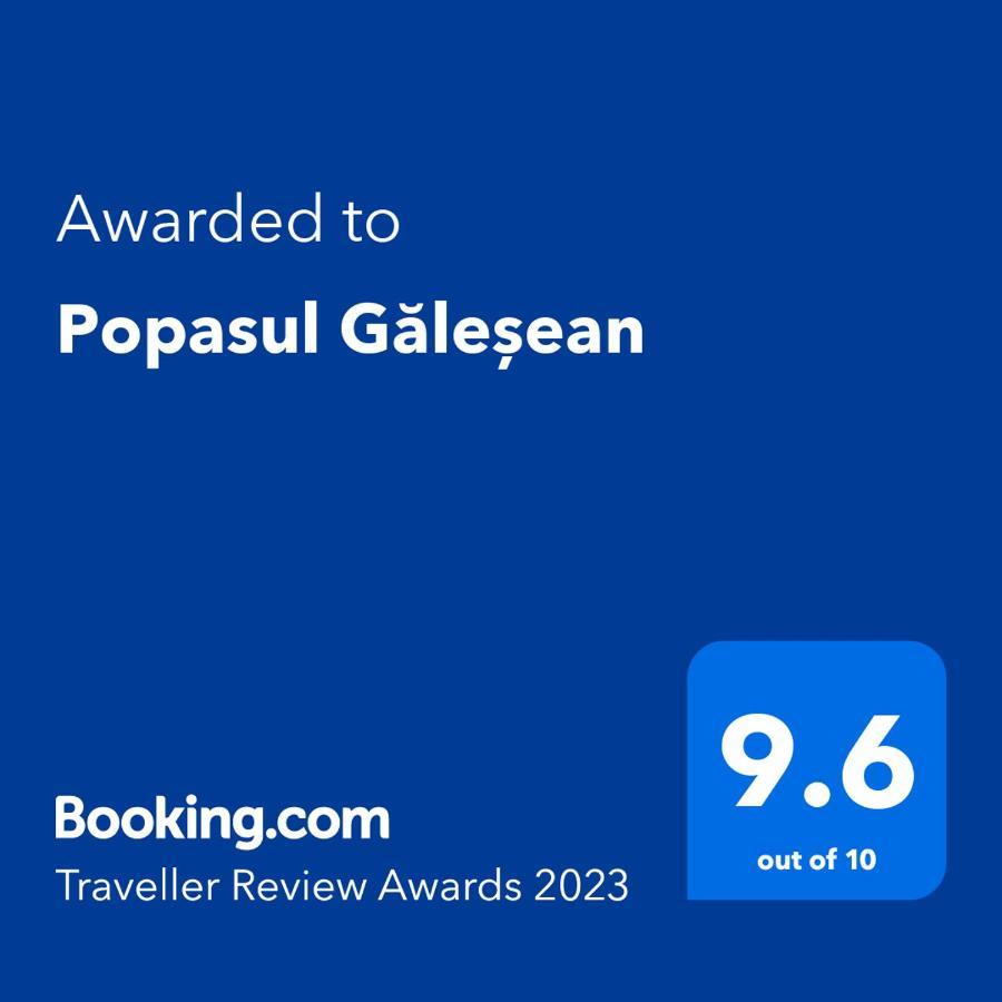 Popasul Galesean Hotel Galesu Eksteriør billede